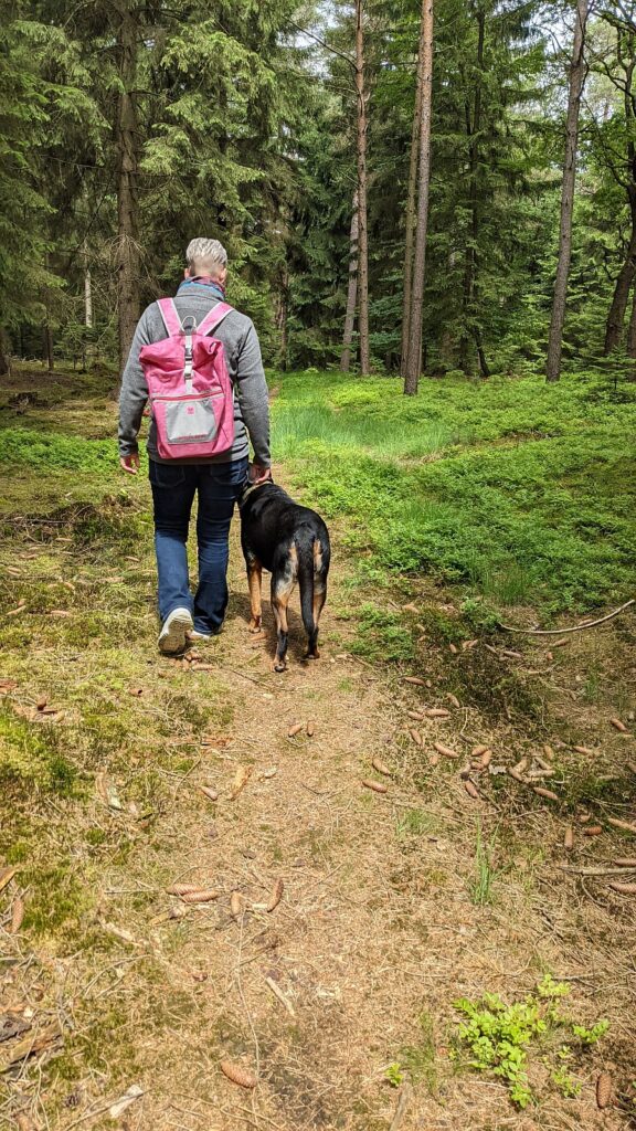 Eine Person mit rosa Rucksack geht gemeinsam mit einem schwarz-braunen Hund auf einem Waldweg durch die grüne Natur.