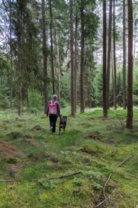 ferienhof-ohlenbusch-worpswede-urlaub-mit-hund