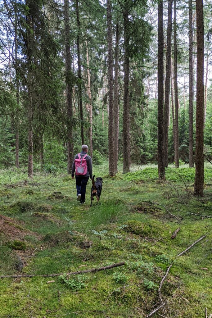Person mit Rucksack und Hund beim Spaziergang durch einen grünen Wald mit hohen Bäumen in der Umgebung von Worpswede