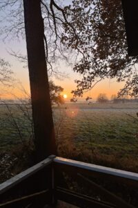 worpswede ferienhaus waldhaus terrasse sonnenuntergang
