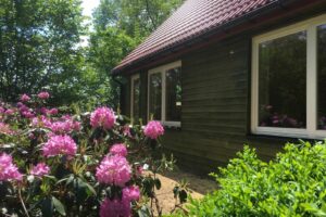 worpswede ferienwohnung weitblick aussenansicht terrasse